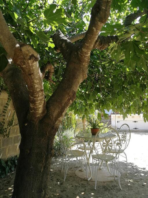 Casa La Higuera Βίλα Chulilla Εξωτερικό φωτογραφία