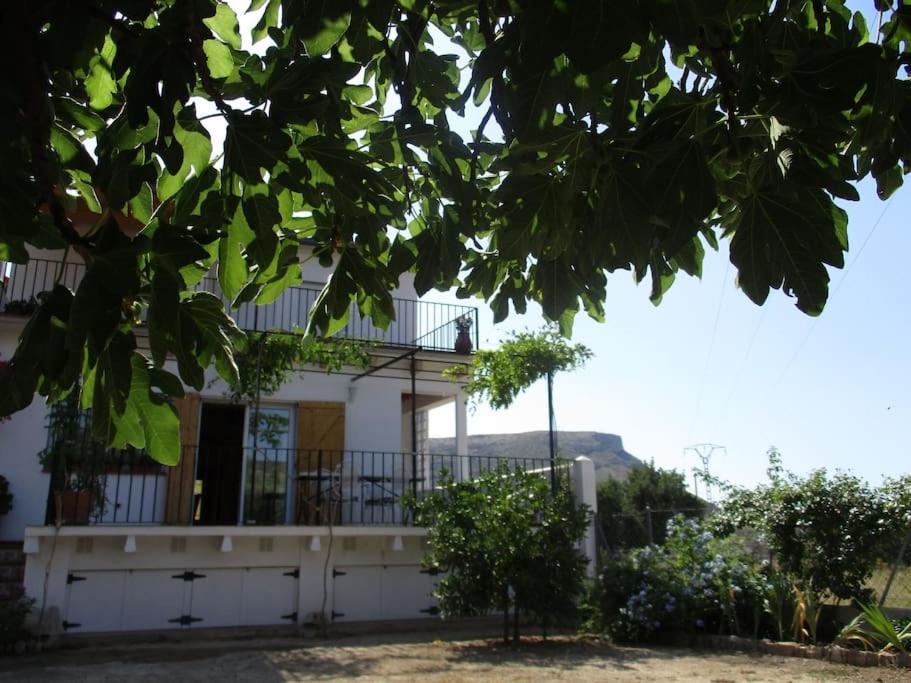 Casa La Higuera Βίλα Chulilla Εξωτερικό φωτογραφία