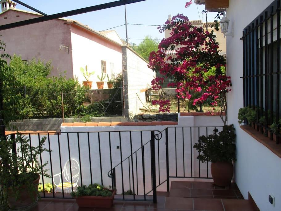 Casa La Higuera Βίλα Chulilla Εξωτερικό φωτογραφία