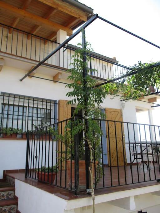 Casa La Higuera Βίλα Chulilla Εξωτερικό φωτογραφία