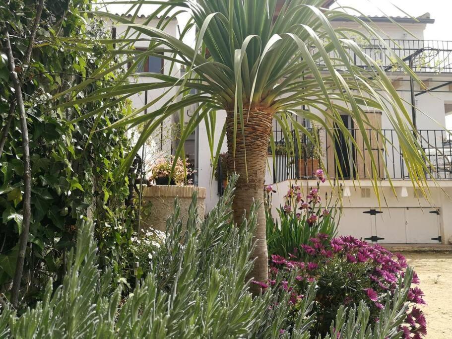 Casa La Higuera Βίλα Chulilla Εξωτερικό φωτογραφία