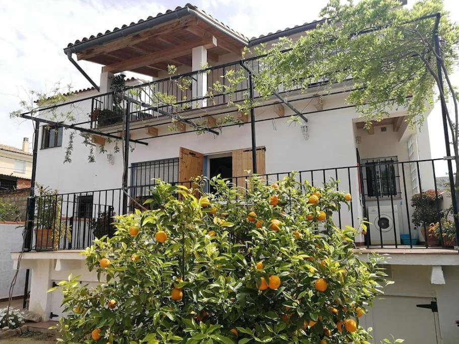 Casa La Higuera Βίλα Chulilla Εξωτερικό φωτογραφία